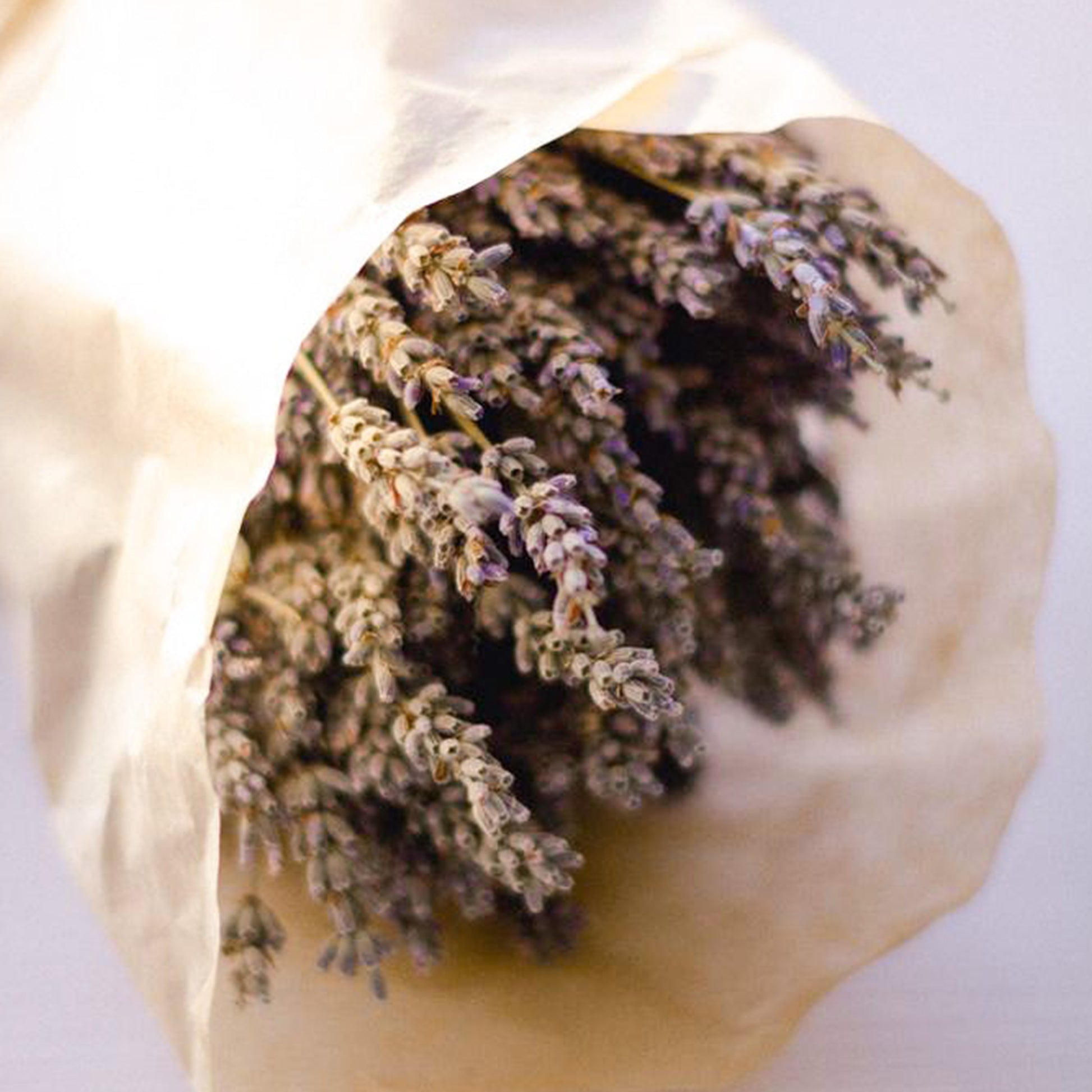 Lavender, Glycerin, Aloe Vera. 
Refreshing face mist